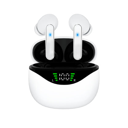 Lifebee DP4 Earbuds