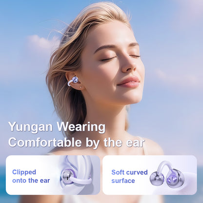 Lifebee Q71 Earbuds