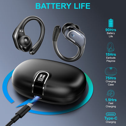 Lifebee BX29 Earbuds